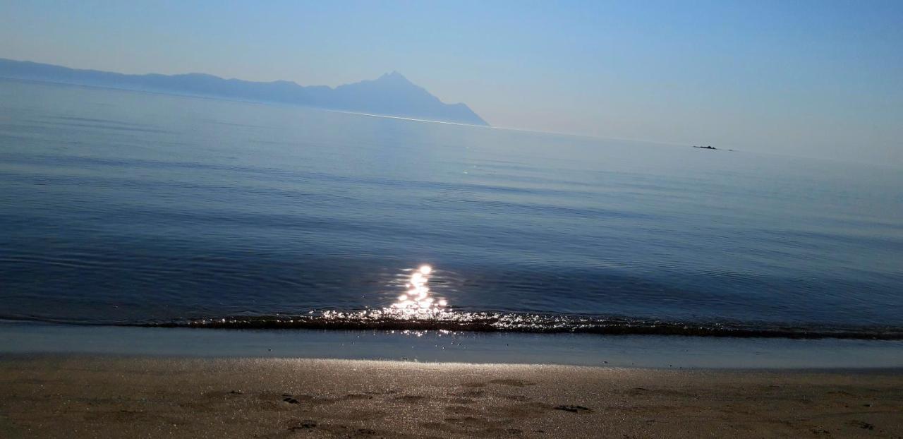 Apartmenthotel Sithon Sarti Esterno foto