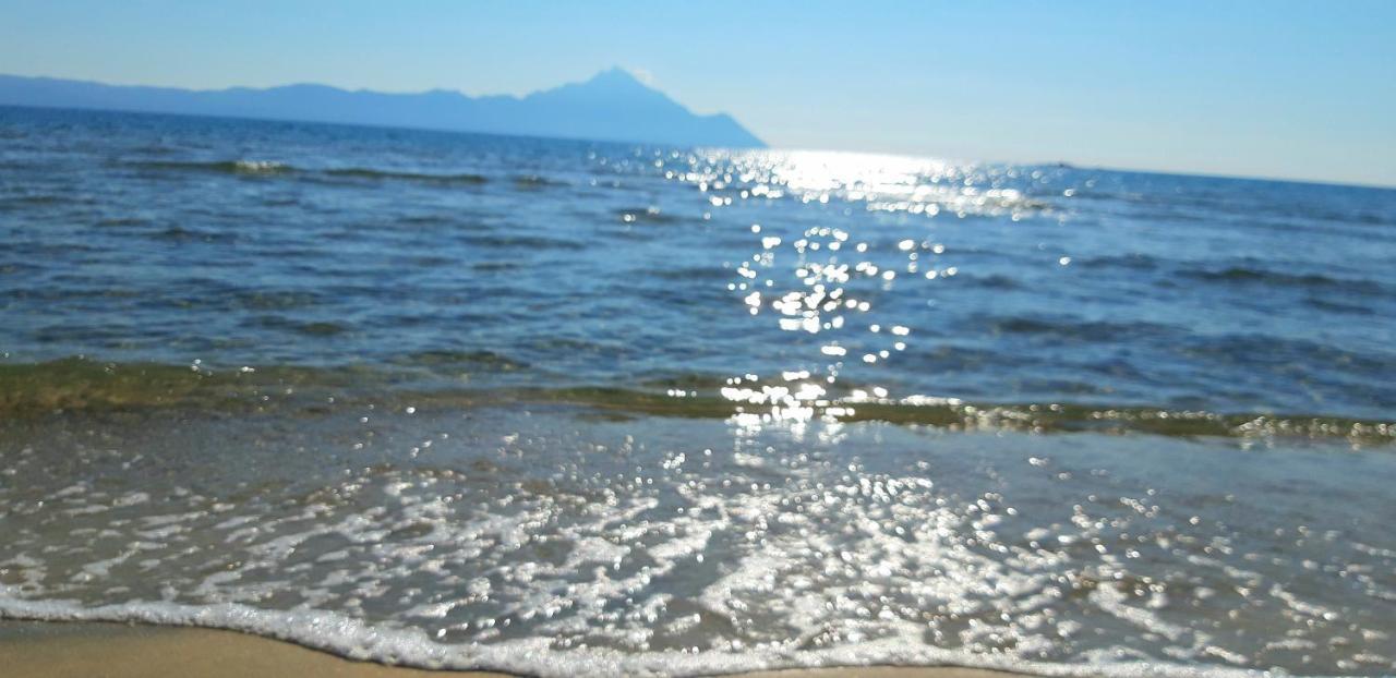 Apartmenthotel Sithon Sarti Esterno foto