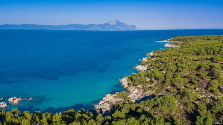 Apartmenthotel Sithon Sarti Esterno foto